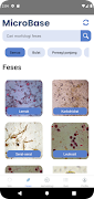 MicroBase 截圖 2