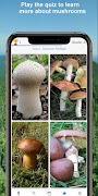 برنامه‌نما Mushroom Identify - Automatic  عکس از صفحه