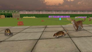 Crazy Cat vs Mouse screenshot 2