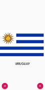 South American flag Flash card স্ক্রিনশট 1