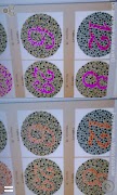 Color blindness correction poster
