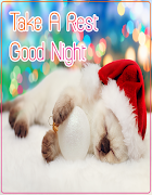 Good Night Wishes Images স্ক্রিনশট 1