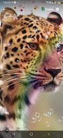 Leopard Wallpaper ภาพหน้าจอ 7