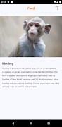 The Survivalist Monkey screenshot 4