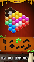 Hexa Blocks Puzzle Game imagem de tela 3