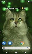 Cat Eyes Blinking LWP screenshot 1