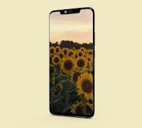 Sunflower Wallpapers screenshot 6