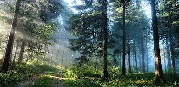 Rasmlar स्क्रीनशॉट 3