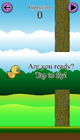 Try to fly! Poster