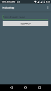 Nslookup 포스터