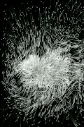 Magic Art screenshot 6