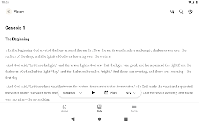 VictoryFLA Screenshot 5
