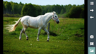 Animals for Kids 3D: Learn Ani স্ক্রিনশট 3