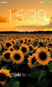 Sunflowers Lock Screen 스크린샷 1
