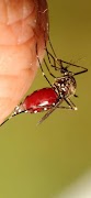 Biological Microscopes capture d'écran 4