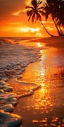 Sunset Live Wallpapers 4K 海报