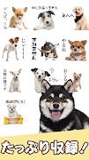 犬スタンプ screenshot 3