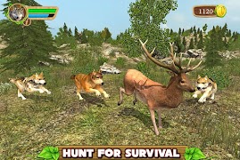 tức giận giả sói 🐺 ảnh chụp màn hình 1