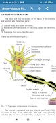 Physiology screenshot 1