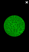 Microscope Virtual Cells Sim ảnh chụp màn hình 6