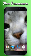 Kitty Licks Screen screenshot 2