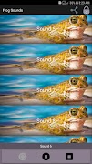 برنامه‌نما Frog Sounds عکس از صفحه