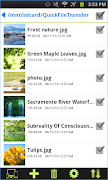 Quick File Transfer 스크린샷 2