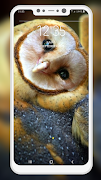 Bird Wallpaper Ekran Görüntüsü 3