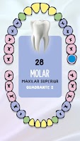 Guia de Dentes 截图 1