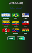 World Flags Race screenshot 2