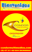Condor Virtual captura de pantalla 5