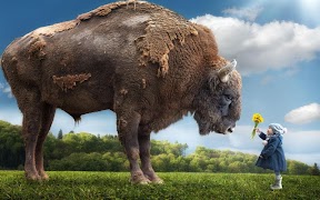 Fantasy Jigsaw Puzzles screenshot 3