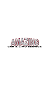 Amazing Car Service poster