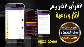 ماهر المعيقلي قرأن بدون انترنت 截圖 7
