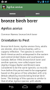 برنامه‌نما Forest Insect Pests عکس از صفحه