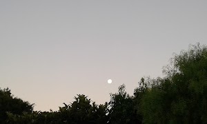 FSL00 تصوير الشاشة 1