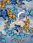برنامه‌نما Butterflies App عکس از صفحه