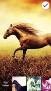 برنامه‌نما Unicorn PIN  Lock عکس از صفحه