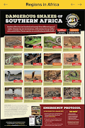 ASI Snakes screenshot 1
