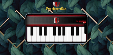Pro Accordion poster