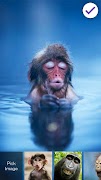 Happy Monkey Lock Screen স্ক্রিনশট 2