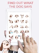 Dog Translator imagem de tela 5