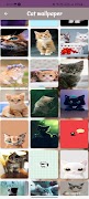 Cat Cute Wallpaper HD 스크린샷 2
