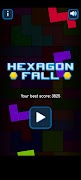 Hexagon Fall 포스터