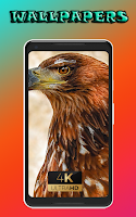 cool Summer Fruit Live Wallpaper Berry Wallpapers screenshot 2