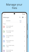 Download manager screenshot 2