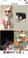 Caty Cats poster