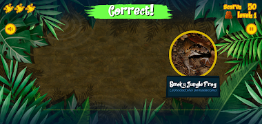 Singing Frogs screenshot 2