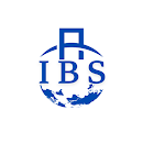 Iraq Bridge APK