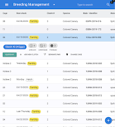 Birds Evolution स्क्रीनशॉट 2